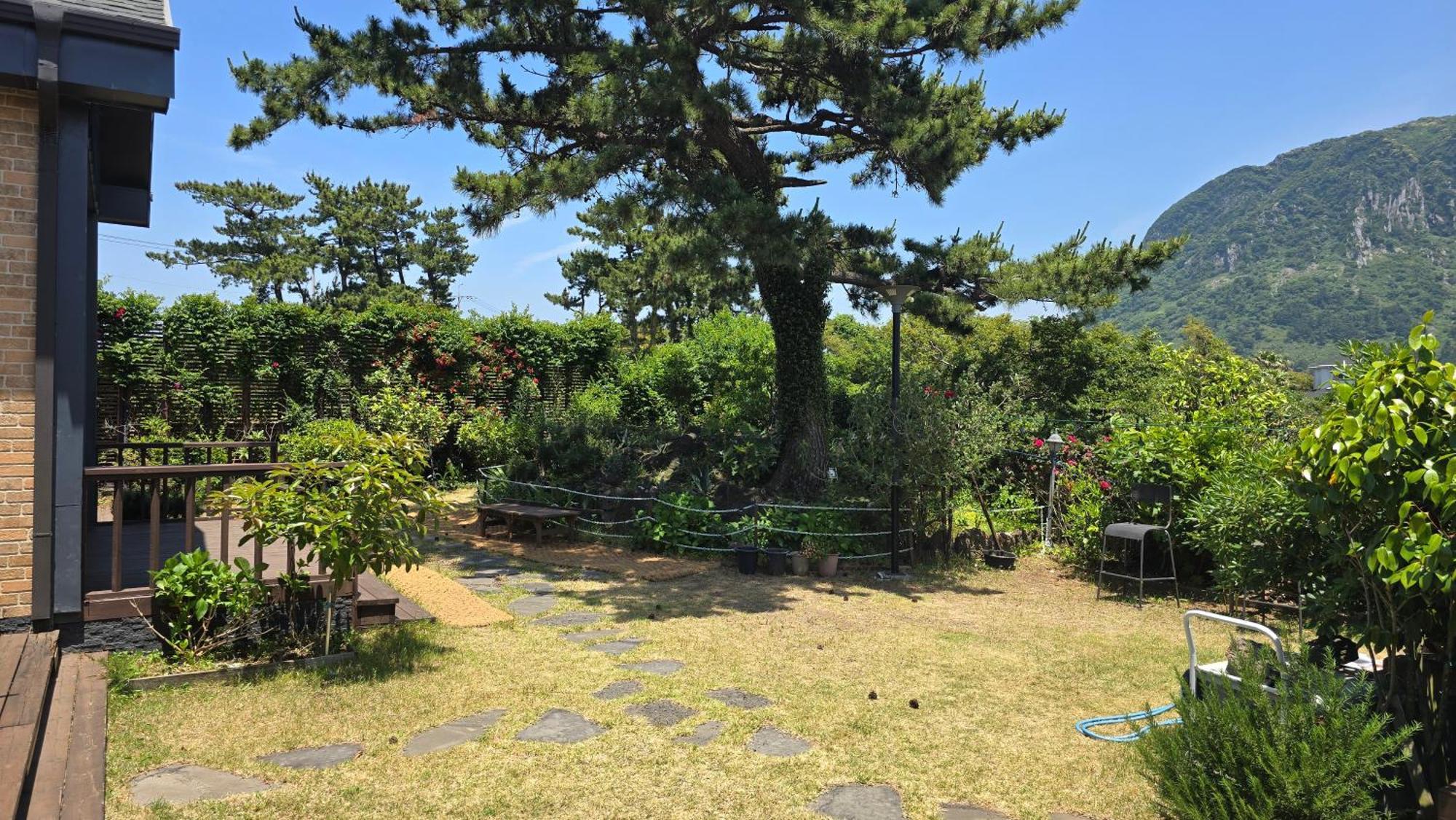 Wind Jeju Cafe & Pension Sogüpcho Exteriér fotografie