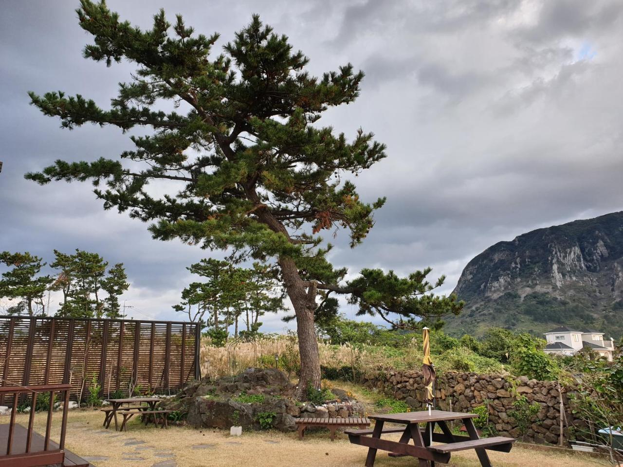 Wind Jeju Cafe & Pension Sogüpcho Exteriér fotografie
