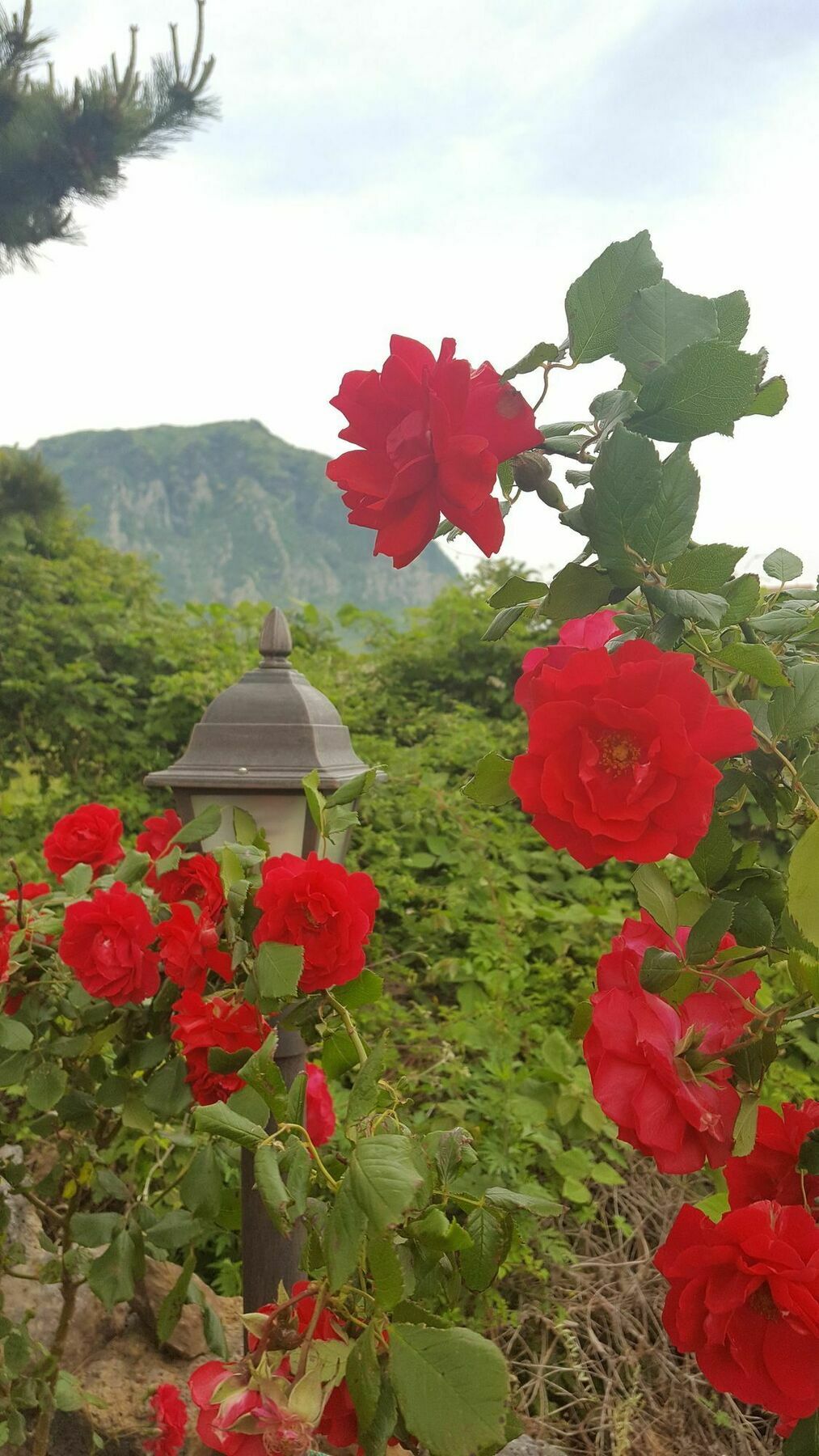 Wind Jeju Cafe & Pension Sogüpcho Exteriér fotografie
