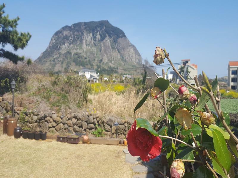 Wind Jeju Cafe & Pension Sogüpcho Exteriér fotografie